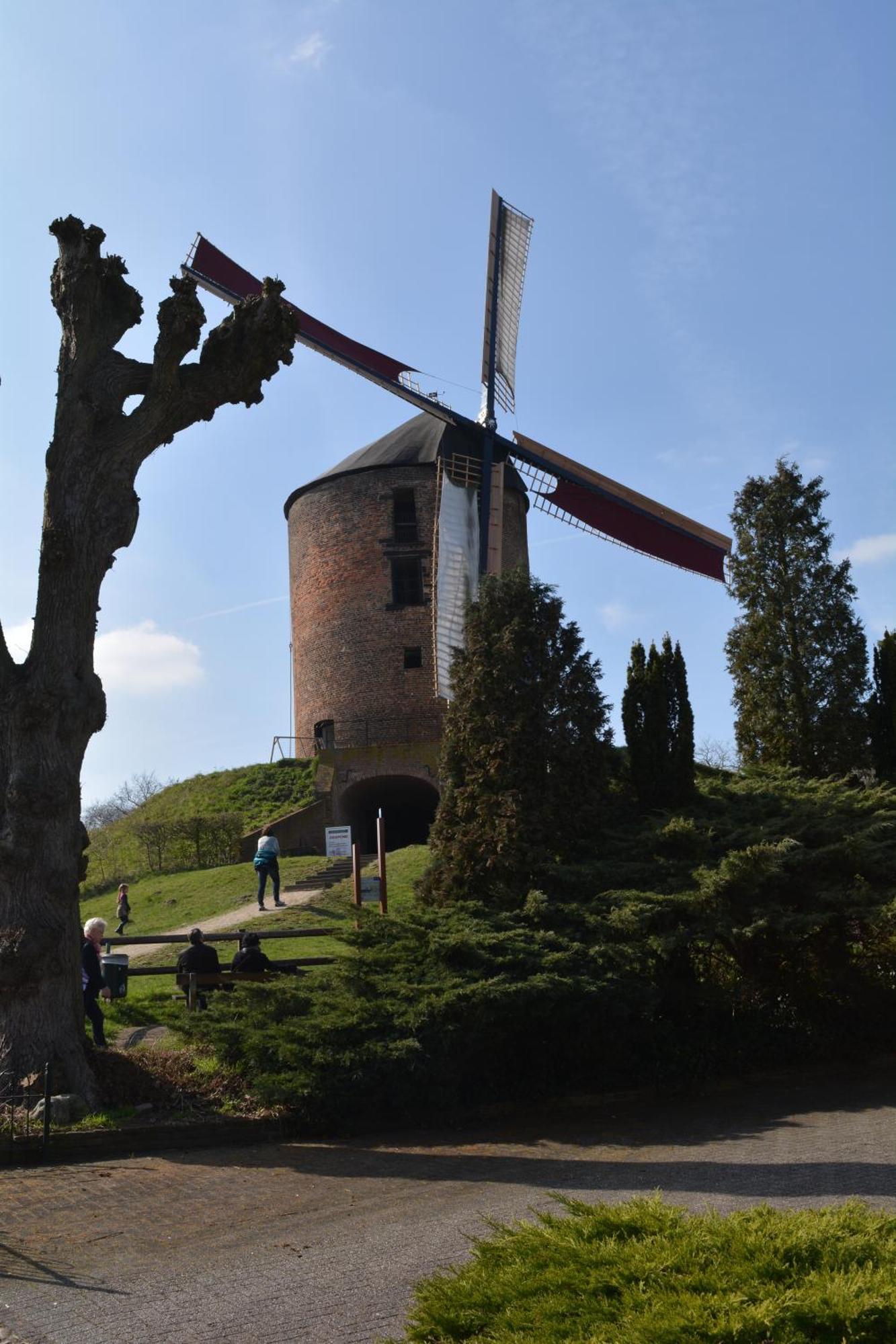 Beekse Brink Bed & Breakfast Loerbeek Dış mekan fotoğraf